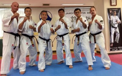 Budo vs. Sport/Competition Karate